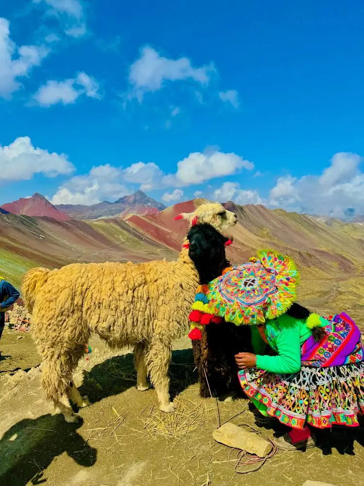 Lamas et femme en tenue traditionnelle devant les montagnes colorées, Pérou