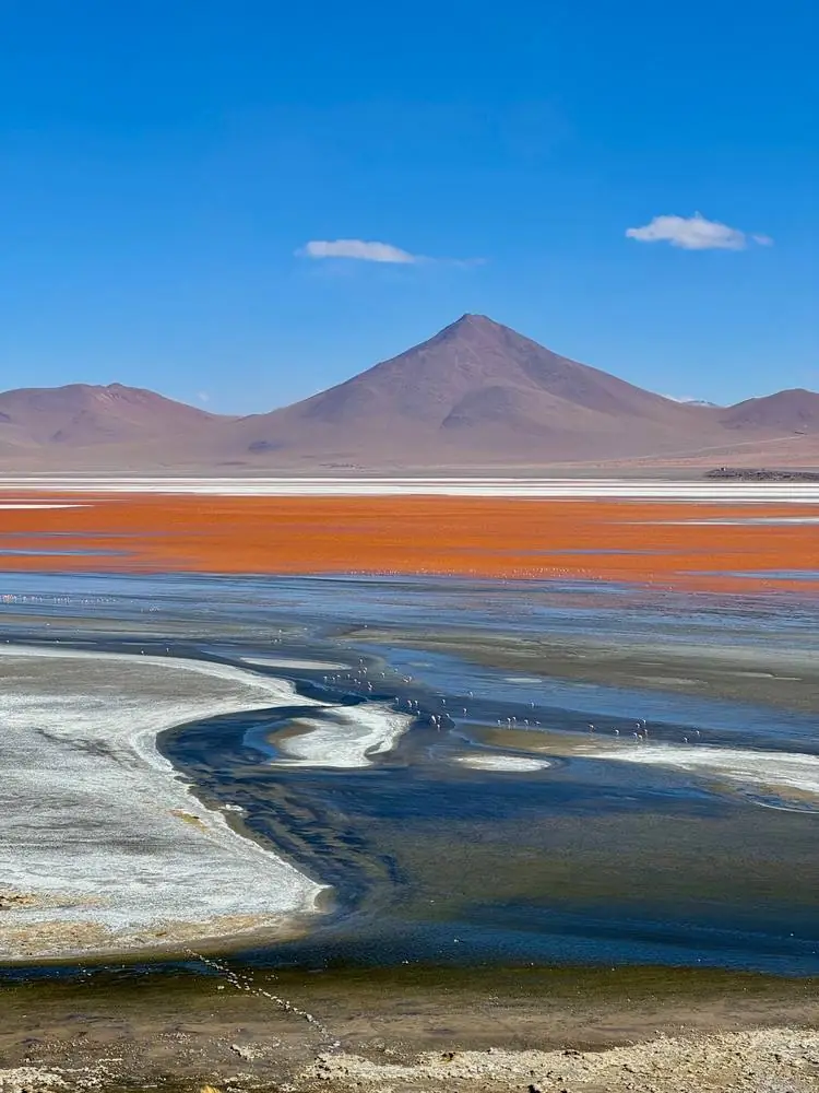 La Laguna Colorada et son eau rouge, Bolivie